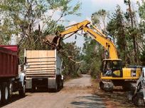 Landscape Design Company